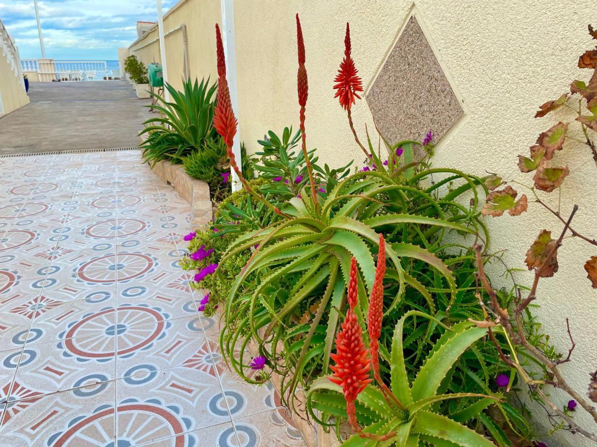 Royal Beach House Vista Mar La Mata  Exterior photo